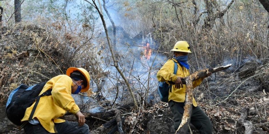 Brigadistas combaten el incendio en Tepoztlán, ayer.