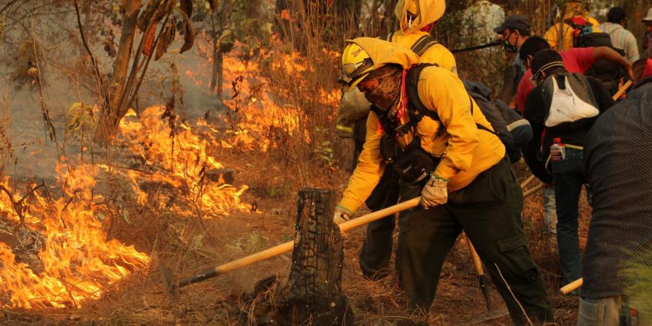 Habitantes de las zonas afectadas luchan para controlar los incendios forestales.