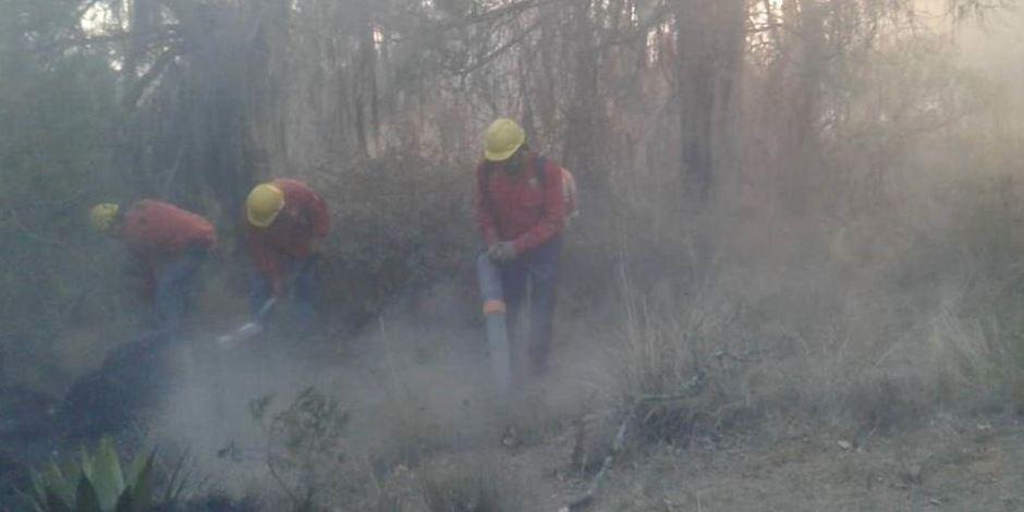 Elementos de la Secretaría de la Defensa Nacional (Sedena) se sumaron a las labores de extinción de los incendios en Hidalgo..