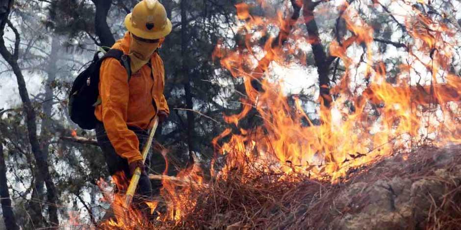 En CDMX  100% de los incendios forestales tienen origen antropogénico, es decir, son causados por acciones humanas.