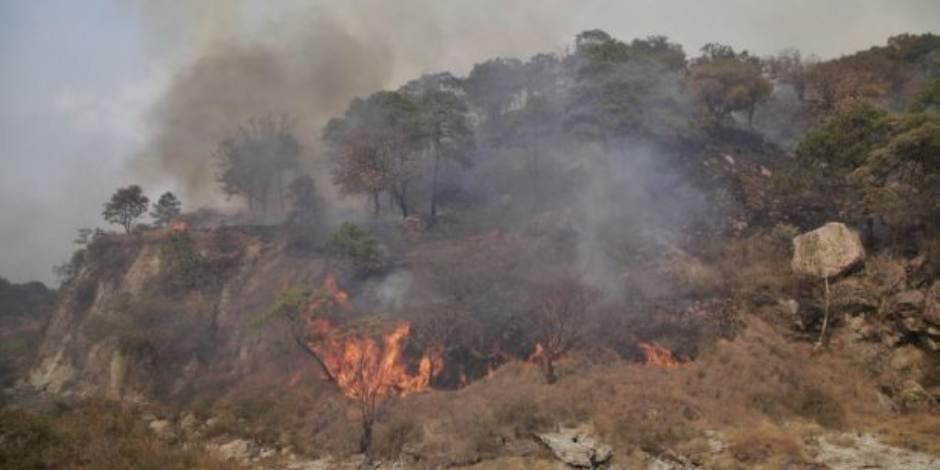Un incendio forestal se registró en el paraje de Tepopote.