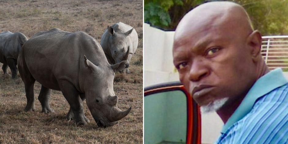 Sydney Petros Mabuza fue arrestado en 2018 por caza furtiva de rinocerontes.