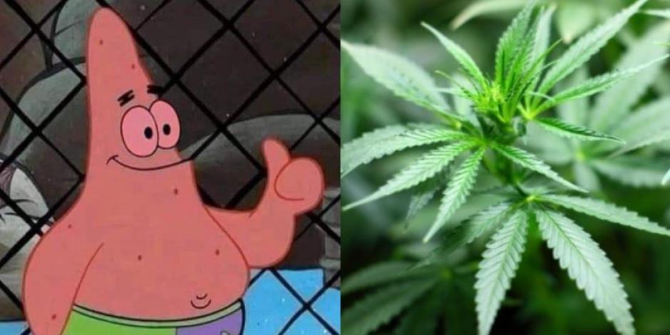 Estos son los mejores memes sobre la despenalización del uso lúdico de la marihuana