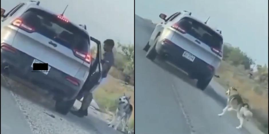 Captan en VIDEO el momento en que hombre abandona a su perrito. Foto: Especial