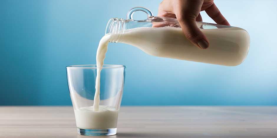 Productores de leche prevén pérdidas por 12 mil mdp por encarecimiento de granos
