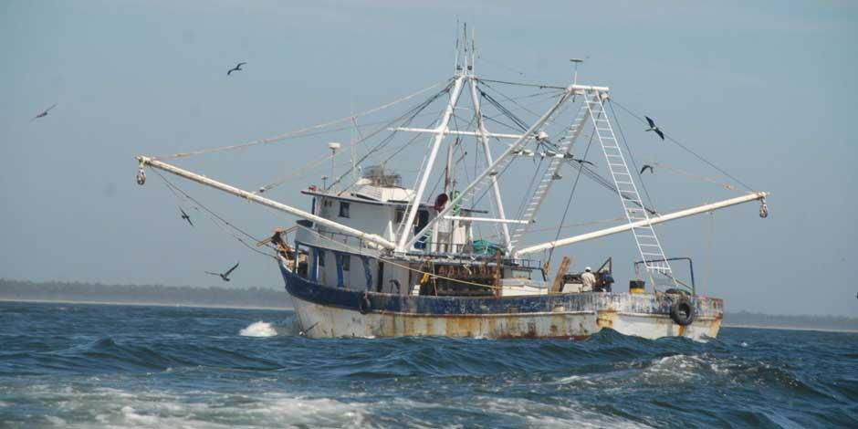 Gobierno de México solicita al de EU exentar de embargo a la pesca ribereña de camarón