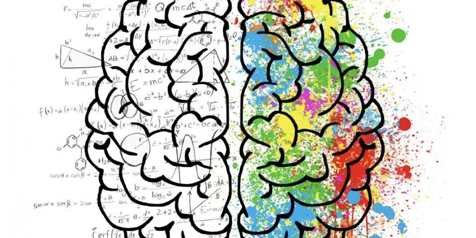La conciencia y el cerebro dividido