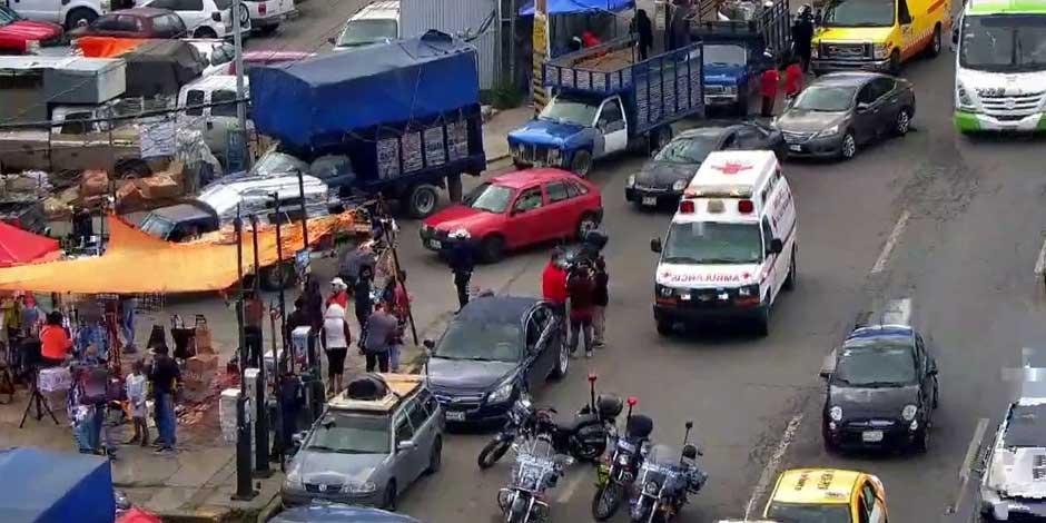 Abejas atacan a ocho personas en Central de Abastos de Pachuca