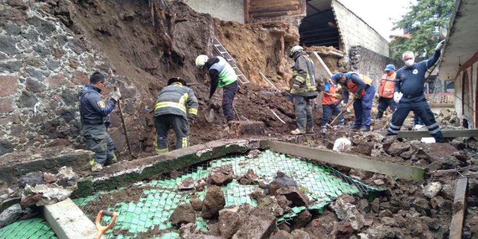 Autoridades de Xochimilco suspendieron el rescate de los perritos atrapados por la presencia de lluvias.
