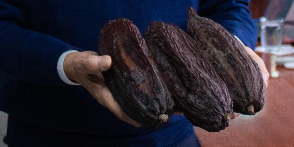"El cacao se ha posicionado en México y América Latina como uno de los productos que suma a la recuperación productiva y económica", dijo Víctor Villalobos.