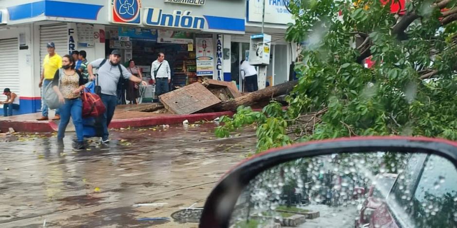 Imágenes de las afectaciones causadas por las fuertes lluvias en Palenque, Chiapas.