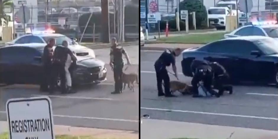 Los policías permitieron que el perro mordiera varias veces a un hombre afroamericano