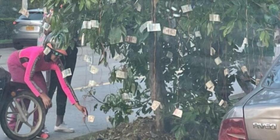 El árbol de billetes "apareció" junto a un mensaje en Cali, Colombia