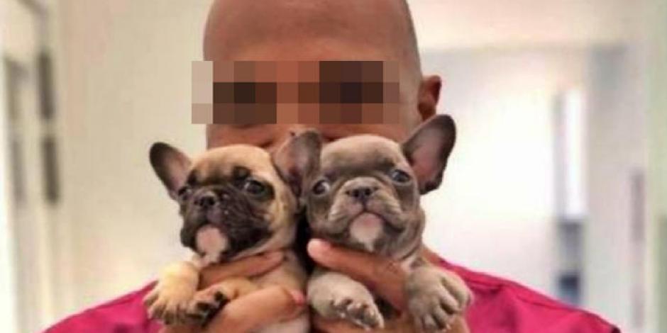El veterinario fue encontrado culpable y sentenciado por abusar de sus pacientes perros