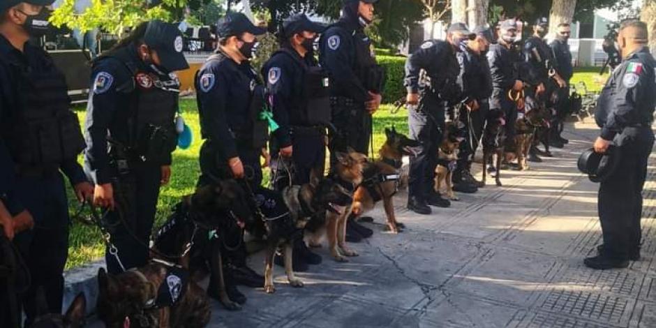 Unidad de la Policía Canina K9