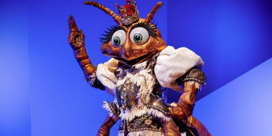 Conoce la posible identidad de Hormiga de ¿Quién es la máscara?
