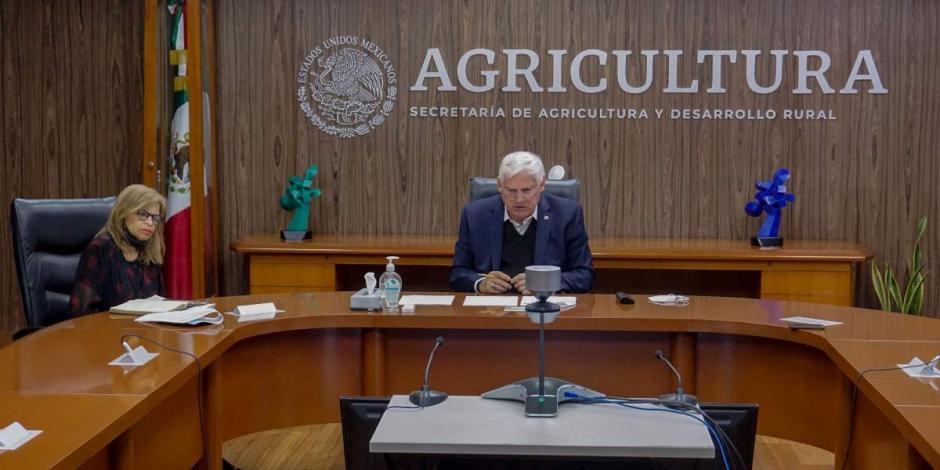 El titular de Agricultura, Víctor Villalobos Arámbula, destacó que México y Serbia tienen un importante desarrollo en el sector, con avances significativos y una tradición agrícola.