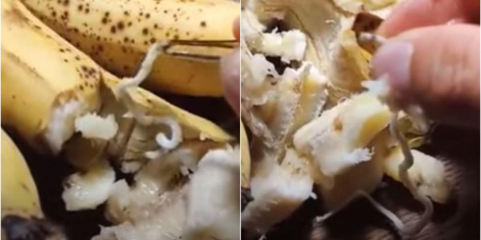 Se está compartiendo la alerta sobre plátano con gusanos, que viene desde Somalia, pero es falso