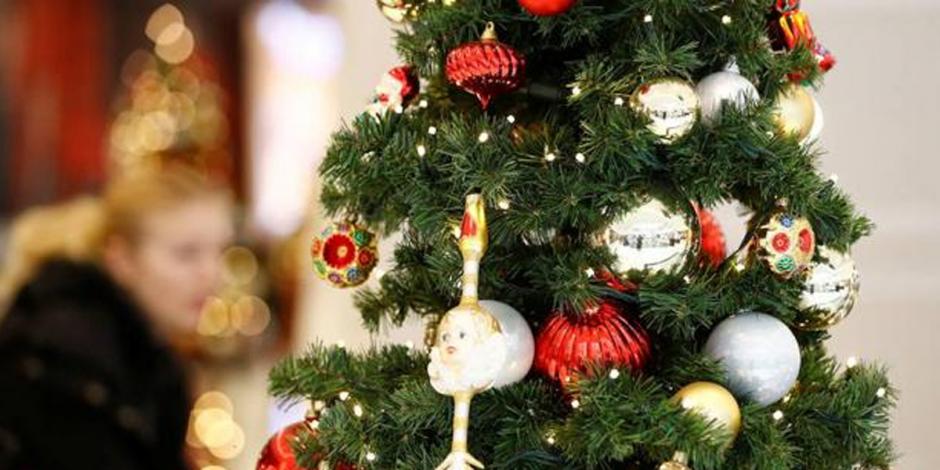 Dónde conseguir árboles de Navidad naturales, legales y sustentables en CDMX
