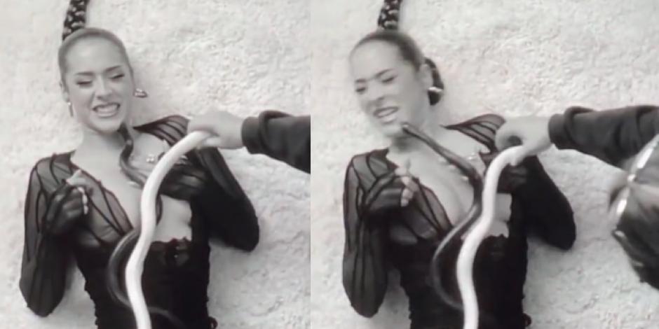 Serpiente muerde a una cantante durante grabación de video
