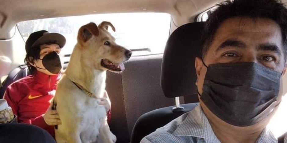Taxista de la CDMX permite a sus pasajeros viajar con sus mascotas y se vuelve viral en Twitter.