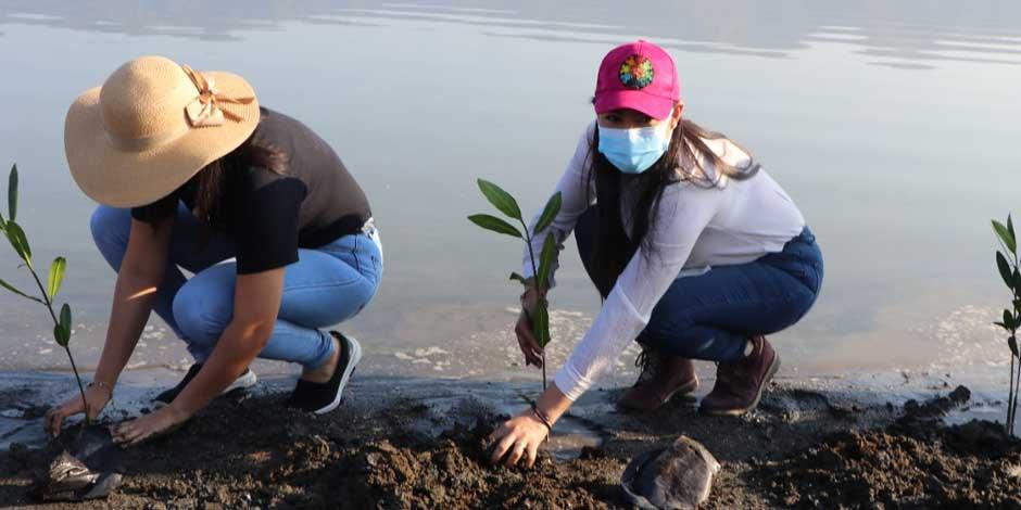 La gobernadora de Colima, Indira Vizcaino, arrancó ka reforestación de la Laguna de Cuyutlán