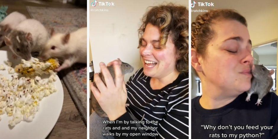 Tiktoker comparte en su cuenta cómo es vivir con sus amigos roedores.