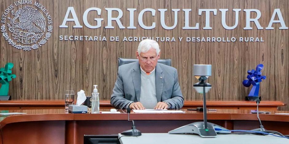 Víctor Villalobos Arámbula, titular de la Secretaría de Agricultura y Desarrollo Rural