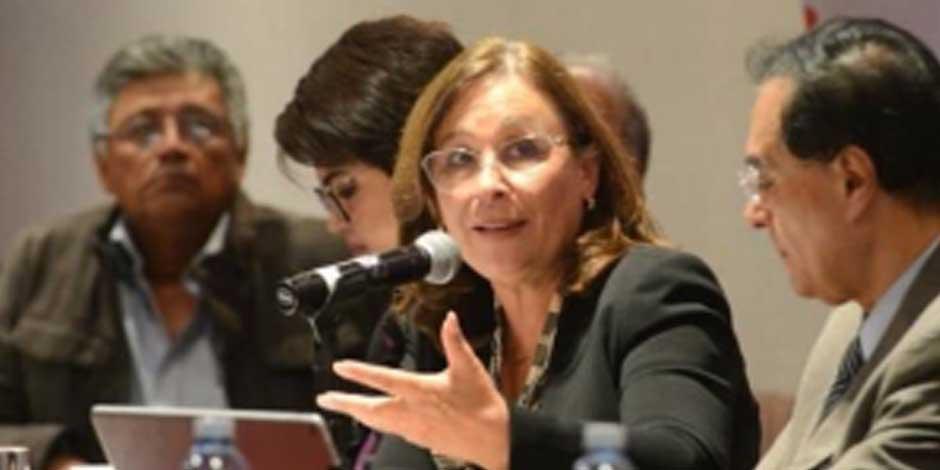 La secretaria de Energía, Rocío Nahle, afirmó ante diputados que la reforma eléctrica no viola tratados internacionales