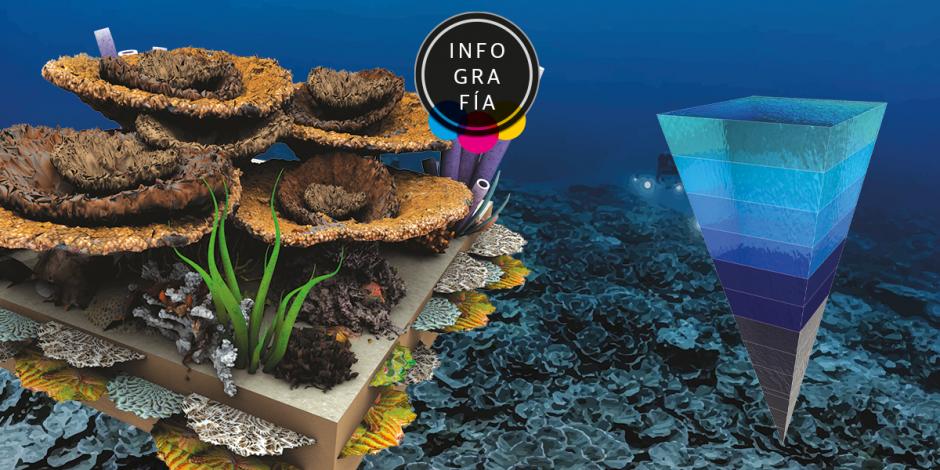 Hallan en Tahití un enorme arrecife de coral inexplorado por la humanidad