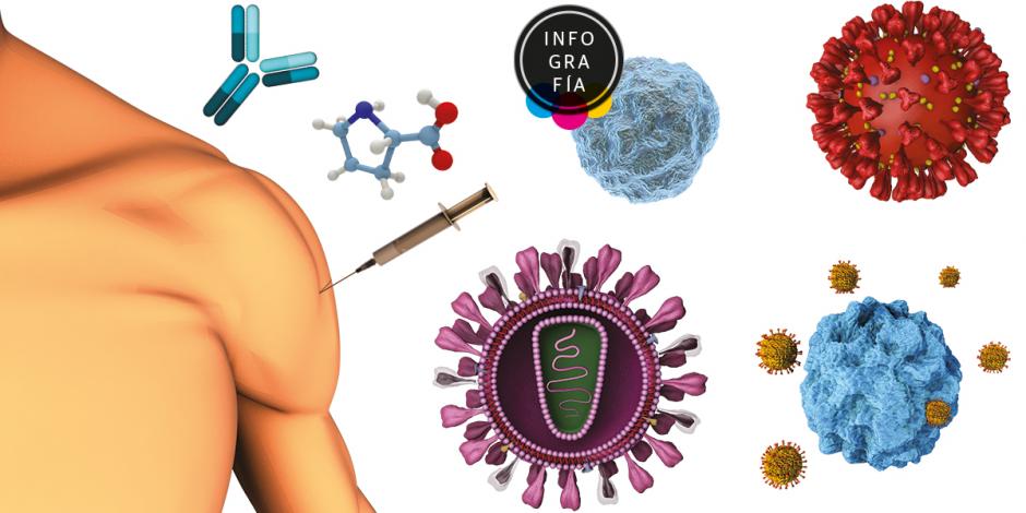 Moderna da inicio a los ensayos en humanos de su vacuna contra el VIH