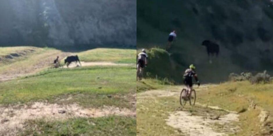 Un toro golpeó a los ciclistas que participaron en la carrera "The Rock Cobbler" en California, EU.