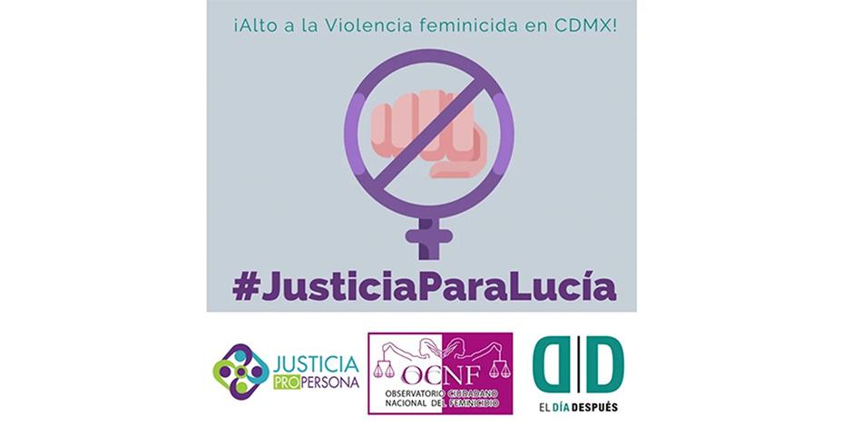 Con el hashtag #JusticiaParaLucía, organizaciones como el Observatorio Ciudadano Nacional del Feminicidio y usuarios de redes sociales exigen que el feminicidio de Lucía Delgado no quede impune.