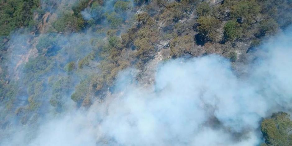 Incendio forestal en el Parque Estatal Monte Alto, en el Estado de México