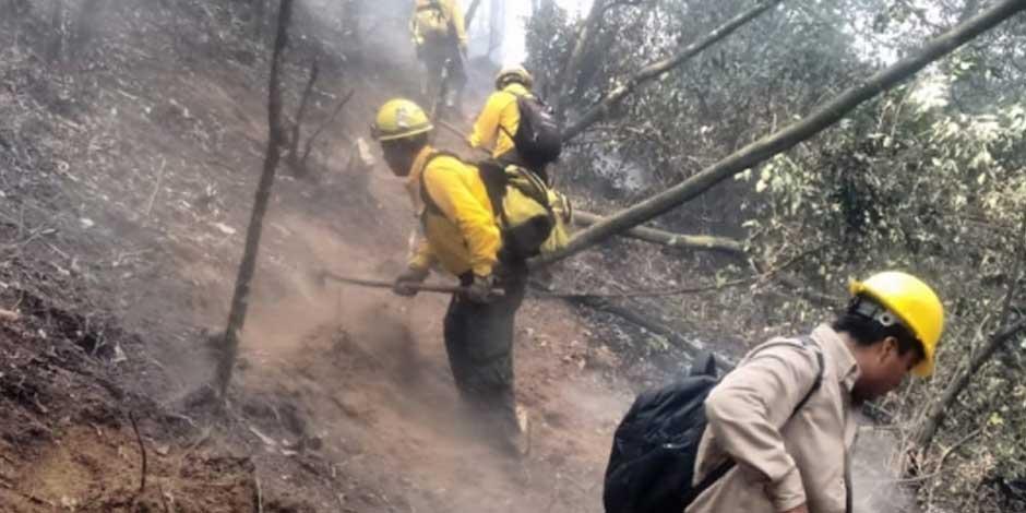 45 incendios forestales activos en el país