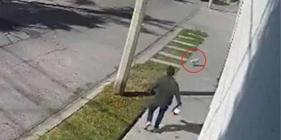 Hombre pateó a un perro en San Luis Potosí y amenazó a la dueña del can.