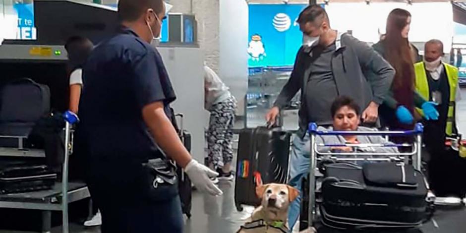Tres unidades caninas apoyarán a los oficiales en tareas de inspección de equipajes y mercancías de pasajeros, "en busca de productos regulados por Agricultura"