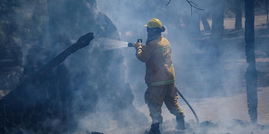 El incendio en el Bosque de la Primavera fue sofocado luego de 24 horas, informó Enrique Alfaro, gobernador de Jalisco.