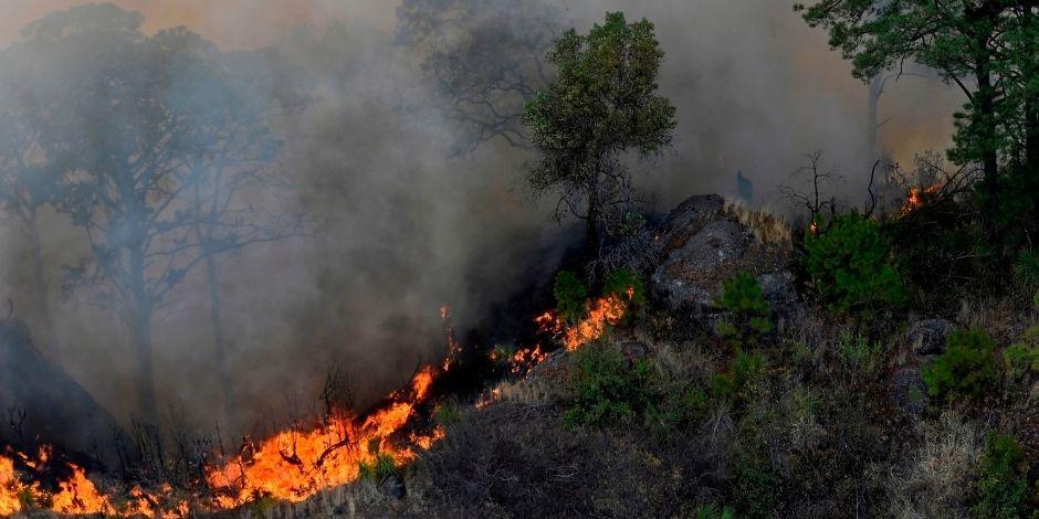 Conafor reportó 44 incendios activos en el país.