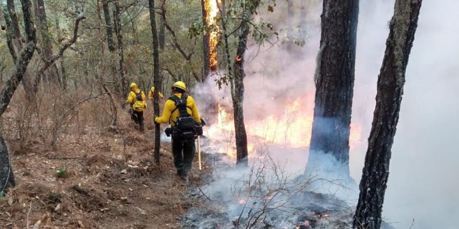 Combatientes realizan labores para controlar y sofocar el incendio forestal registrado en el área natural protegida Cumbres de Monterrey, en Nuevo León. 