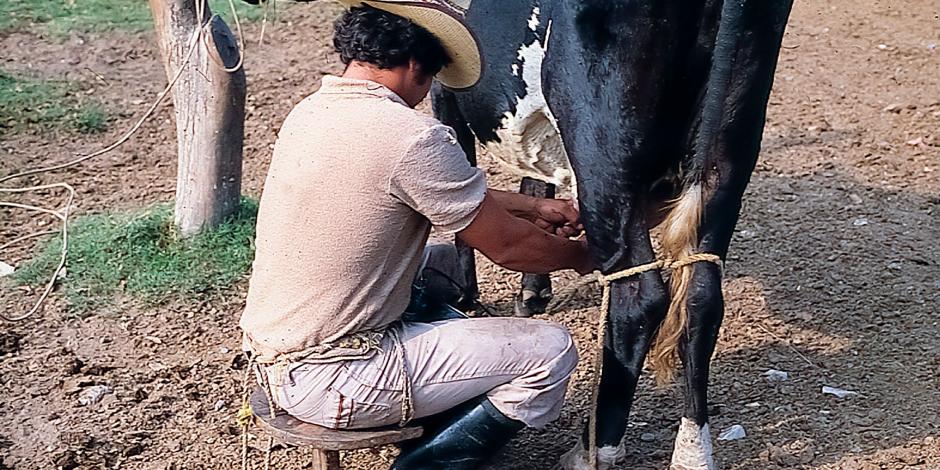 Productores de leche en México.