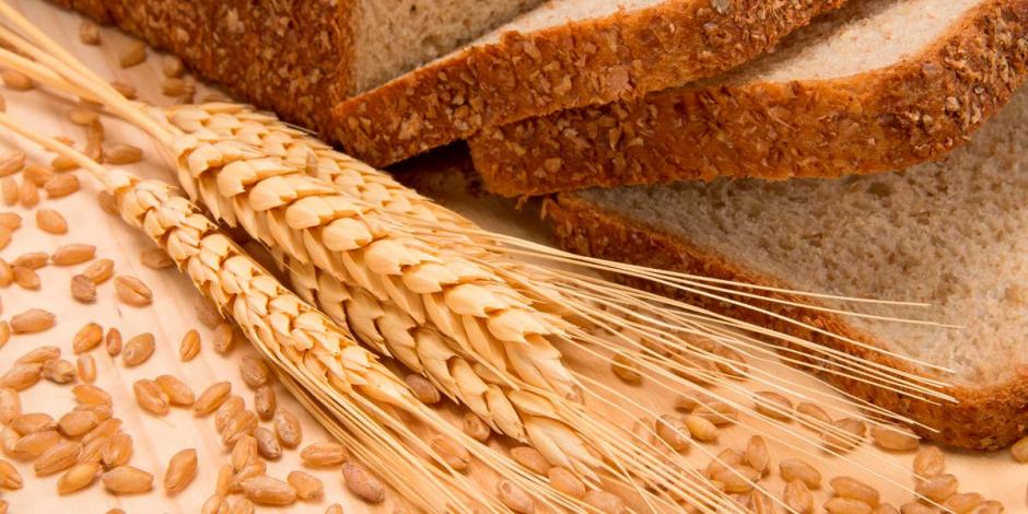 Según la FAO, la guerra en Ucrania fue en gran medida la responsable del incremento del 17.1 por ciento en los cereales, incluyendo el trigo y otros como la avena, la cebada y el maíz