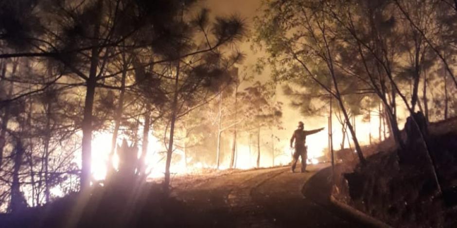 Al momento 56 incendios forestales activos en el país: Conafor