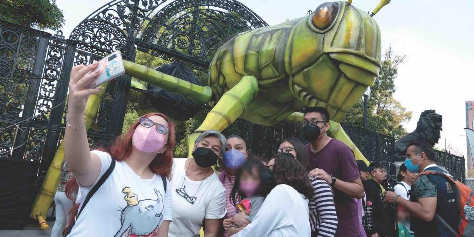 Con festival, insectos “invaden” el Bosque de Chapultepec