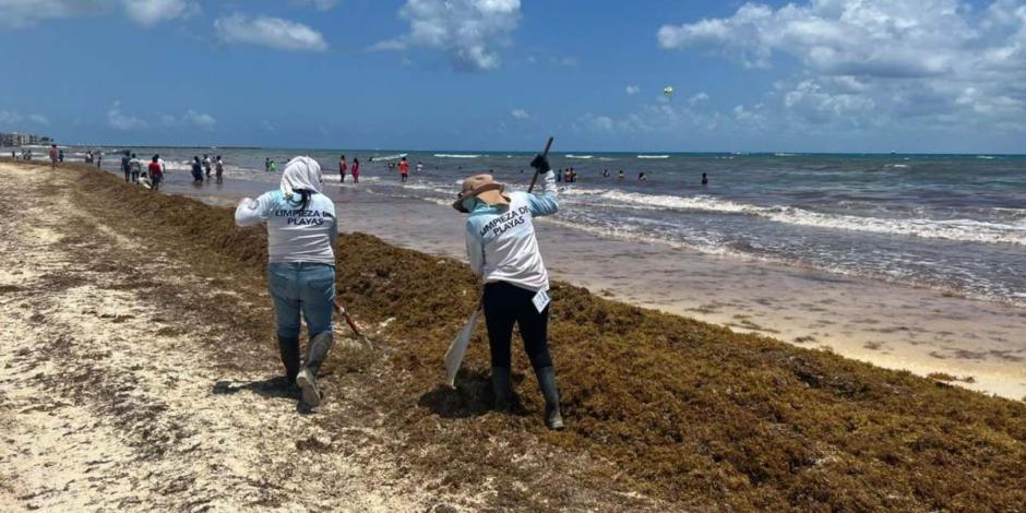 Los ayuntamientos -con maquinaria y personal- están haciendo la limpieza para que los turistas y visitantes puedan disfrutar de playas limpias en esta Semana Santa.
