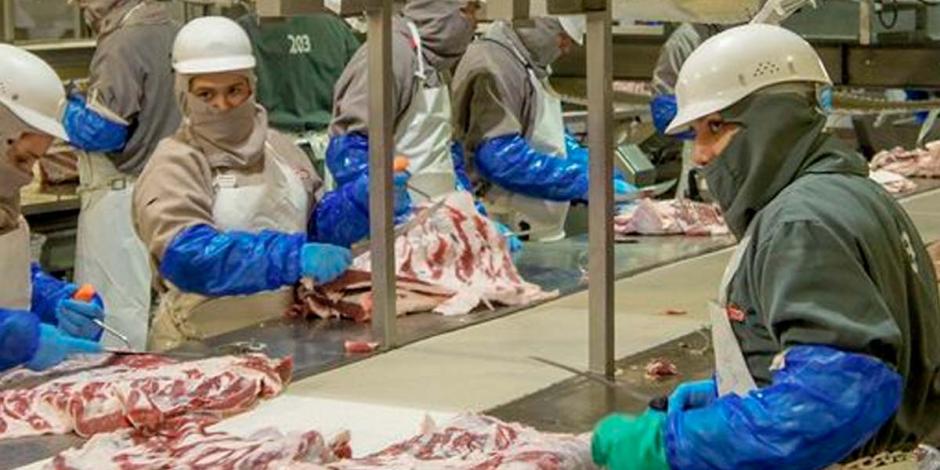 La Secretaría de Agricultura y Desarrollo Rural resaltó que de enero a febrero, crecieron las exportaciones de carne de bovino congelada, con un alza de 100.51 por ciento