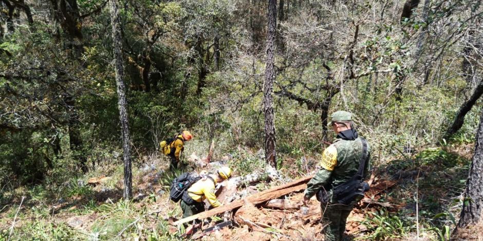 Este jueves México registra 59 incendios forestales activos, informa la Conafor