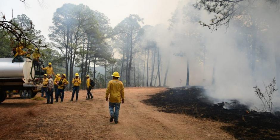 Este sábado se registran 55 incendios forestales activos en el país