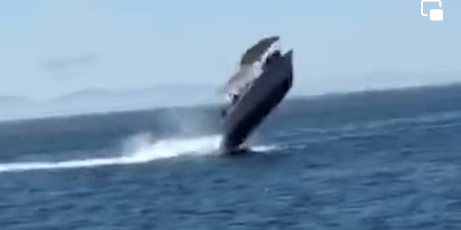 Bote turístico choca contra ballena en Baja California Sur