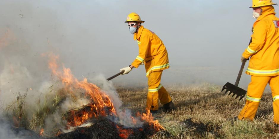 En las labores de extinción de las llamas participan 719 brigadistas de Conafor y otras dependencias..